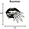 Usta DEKORACJA ŚCIENNA obraz na ścianę